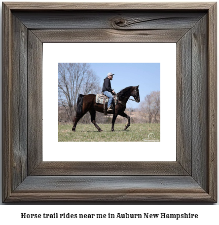 horse trail rides near me in Auburn, New Hampshire